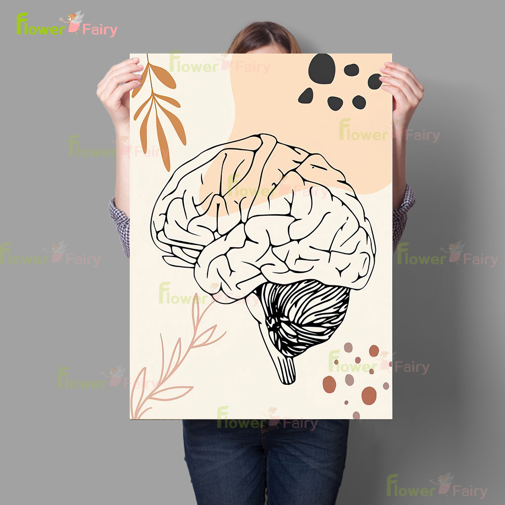 Human Anatomy Science Brain Nu – обзор и цена Science Nursery