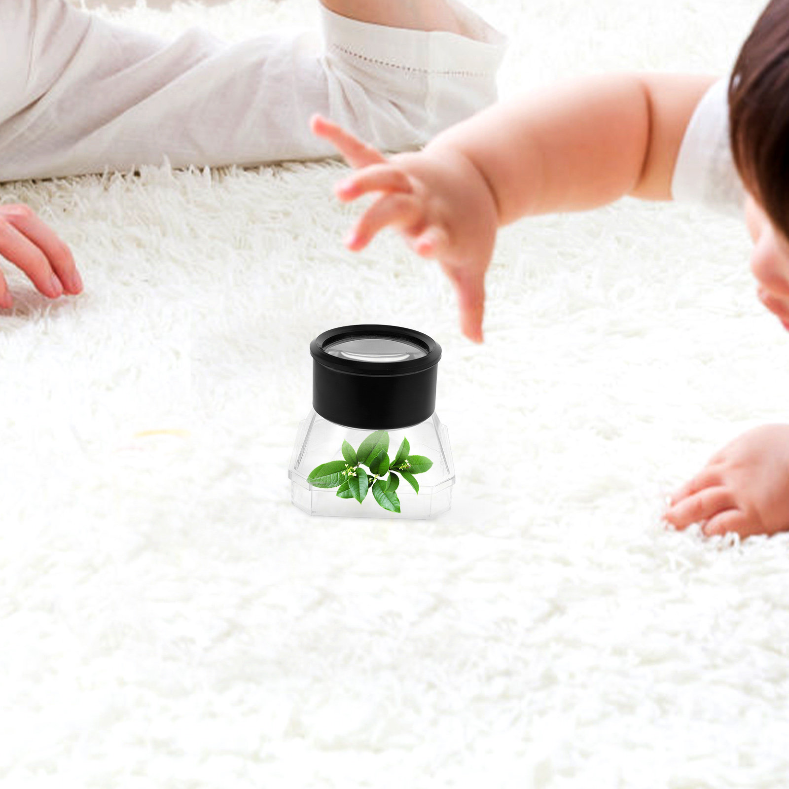 2Pcs Insect Magnifier Box Plas – обзор и цена Science Toys