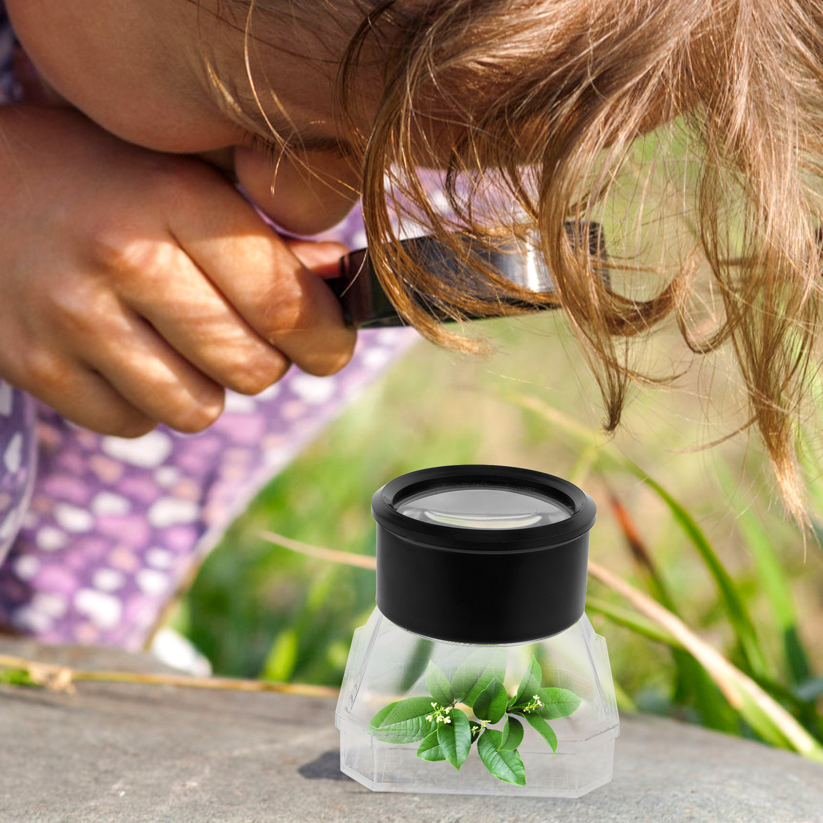 2Pcs Insect Magnifier Box Plas – обзор и цена Science Toys