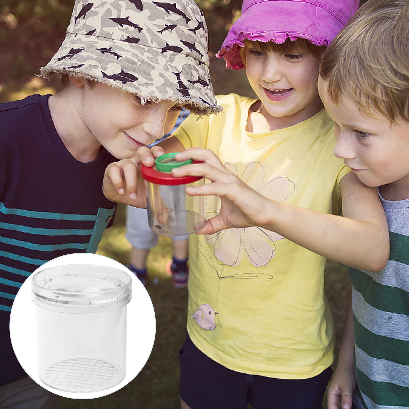 5Pcs Insect Viewer Box Kids Ex – обзор и цена Science Toys