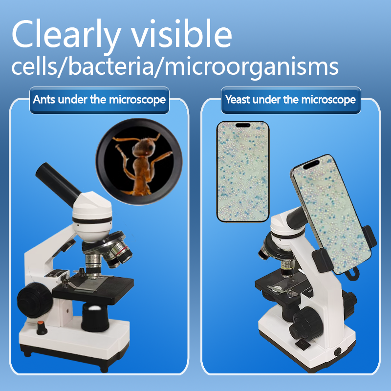 Portable Biological Optical Co – обзор и цена Microscope Compound 40X