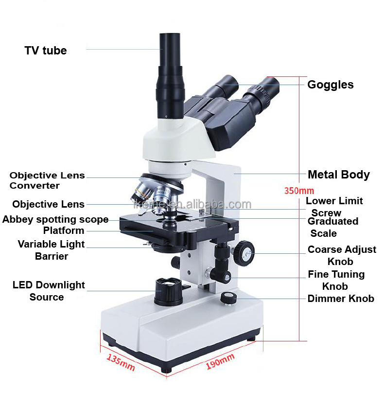 Professional binocular compoun – обзор и цена Microscope Compound 40X