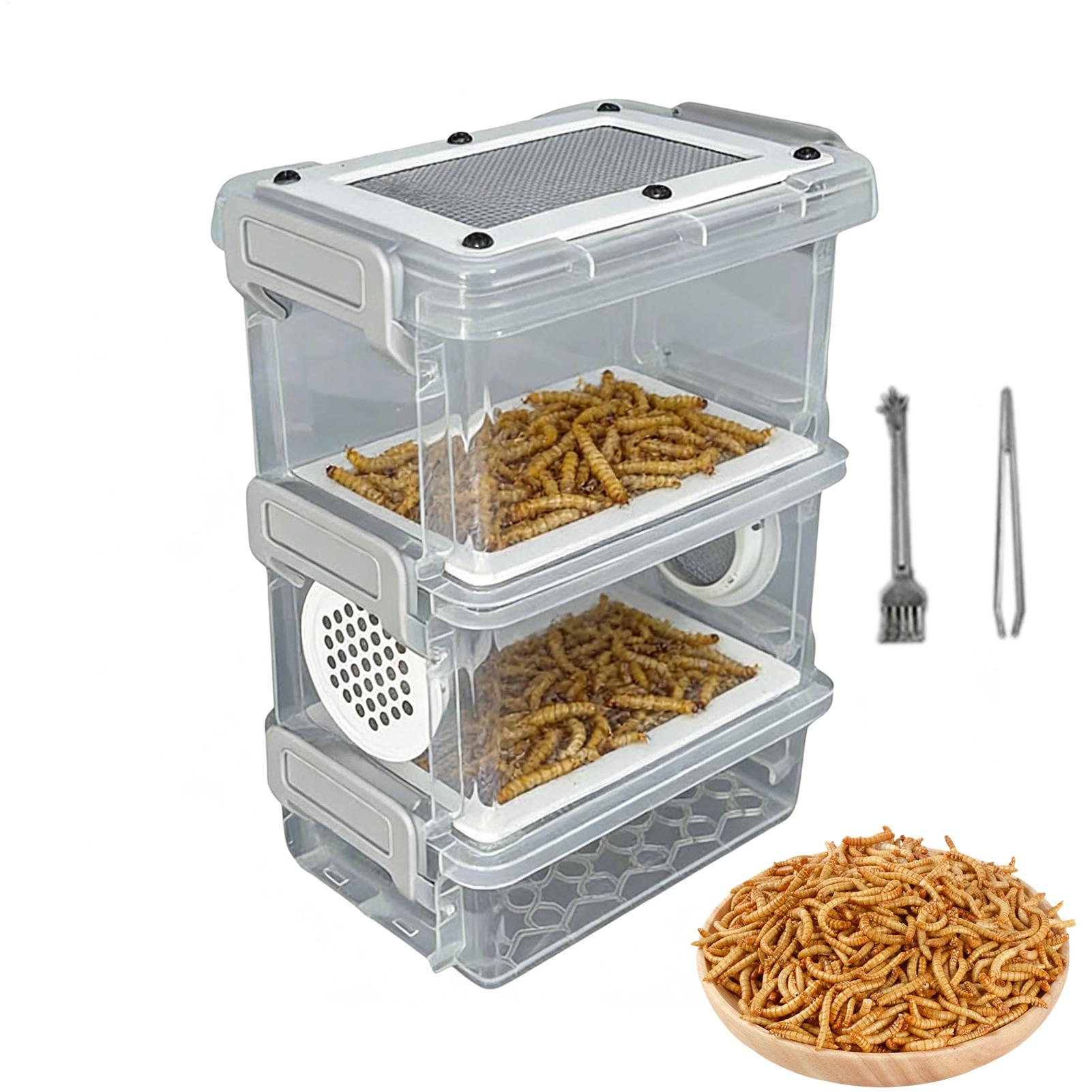 Mealworm Breeding Kit 3-Layer  – обзор и цена Science Hobbyist