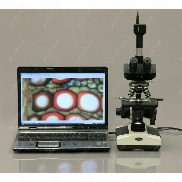 AmScope T390 Series Biological – обзор и цена Microscope Compound 40X