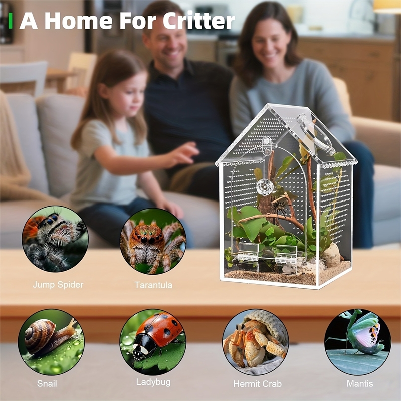 Transparent Acrylic House Inse – обзор и цена Science Hobbyist