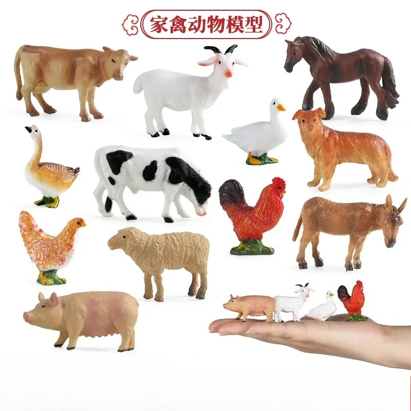 Education Teaching Tool Poultr – обзор и цена Science Toys